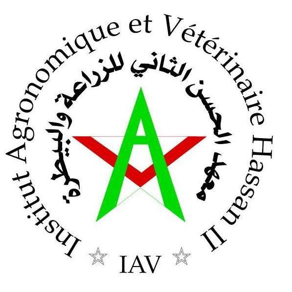 recrutemet institut hassan 2